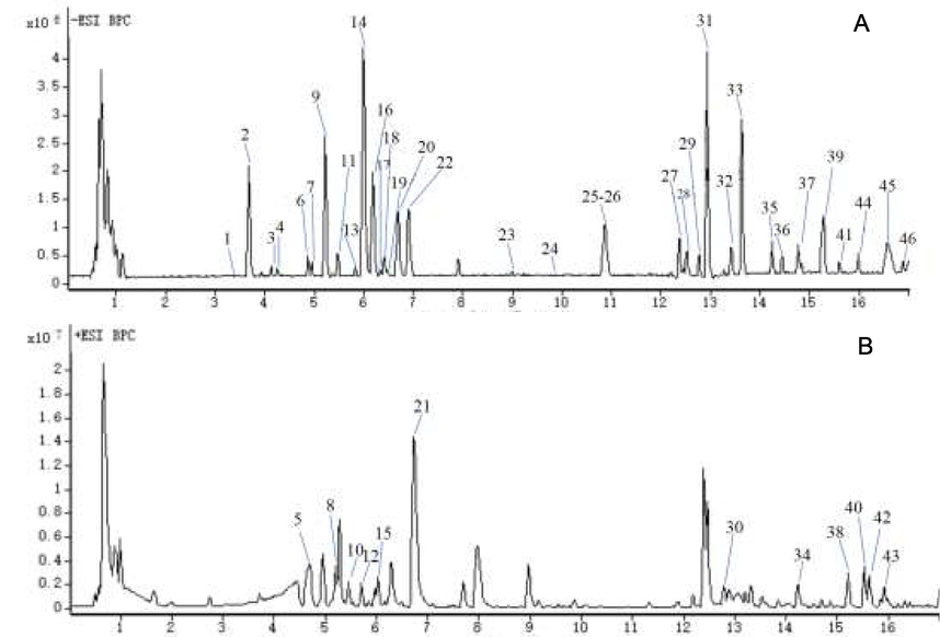 The TIC of the extract of AYF in negative (A) and positive (B) ion mode.