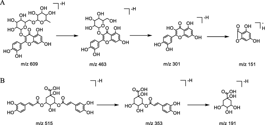 The hypothesized fragmentation pathway of compound 9(A) and 18(B).