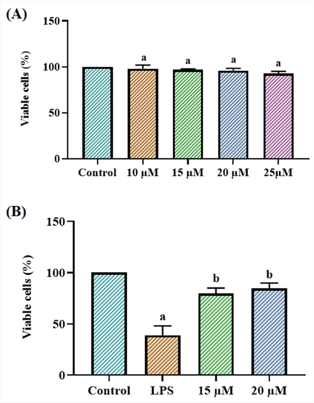 Effect of betanin on the viability of LPS-induced RAW 264.7 cells The viability of RAW 264.7 cells was unaffected by the betanin treatment alone at various dosages (10–25 µM) (A). Additionally, the treatments with 15 and 20 µM of betanin significantly increased the viability of LPS-exposed RAW 264.7 cells (B). Results presented as the mean ± SD of three replicated tests. The SPSS program was used to analyze the results using one-way ANOVA and DMRT. Note: “a” denotes p < 0.01 when compared to control, while “b” denotes p < 0.05 when compared to cells that had been treated to LPS.