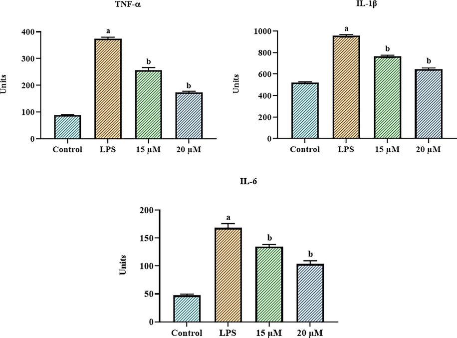 Effect of betanin on the pro-inflammatory cytokine levels in the LPS-exposed RAW 264.7 cells Betanin treatments at concentrations of 15 and 20 µM reduced the levels of inflammatory cytokines such IL-6, IL-1β, and TNF-α in LPS-exposed RAW 264.7 cells. Results presented as the mean ± SD of three replicated tests. The SPSS program was used to analyze the results using one-way ANOVA and DMRT. Note: “a” denotes p < 0.01 when compared to control, while “b” denotes p < 0.05 when compared to cells that had been treated to LPS.