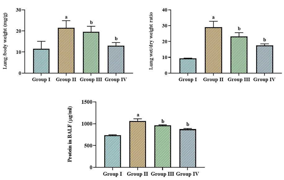 Effect of betanin on the lung weight, lung/bodyweight ratio, and total protein levels in the LPS-induced ALI mice The lung weight, lung/bodyweight ratio, and protein content in the LPS-exposed ALI mice were successfully decreased by the treatment of betanin (25 and 50 mg/kg). Results presented as the mean ± SD of three replicated tests. The SPSS program was used to analyze the results using one-way ANOVA and DMRT. Note: “a” denotes p < 0.01 when compared to control, while “b” denotes p < 0.05 when compared to cells that had been treated to LPS.