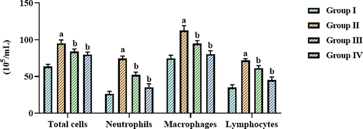 Effect of betanin on the inflammatory cell counts in the BALF of LPS-induced ALI mice Betanin treatment at doses of 25 and 50 mg/kg significantly reduced the number of lymphocytes, neutrophils, macrophages, and total cells in the BALF of LPS-exposed ALI mice. Results presented as the mean ± SD of three replicated tests. The SPSS program was used to analyze the results using one-way ANOVA and DMRT. Note: “a” denotes p < 0.01 when compared to control, while “b” denotes p < 0.05 when compared to cells that had been treated to LPS.