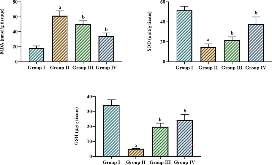 Effect of betanin on the levels of oxidative and antioxidative biomarkers in the LPS-induced ALI mice The GSH level was decreased and SOD and GSH was elevated by the 25 and 50 mg/kg of betanin treatement in the LPS-induced ALI mice. Results presented as the mean ± SD of three replicated tests. The SPSS program was used to analyze the results using one-way ANOVA and DMRT. Note: “a” denotes p < 0.01 when compared to control, while “b” denotes p < 0.05 when compared to cells that had been treated to LPS.