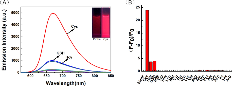 (A) Fluorescent selectivity curve (B) Emission intensity fold plot of probe LAA (20 μM) toward various analytes (100 μM) in PBS/CH3CN (v/v = 1/1, pH = 7.4) solution (λex = 560 nm, slit: 5.0/5.0 nm).