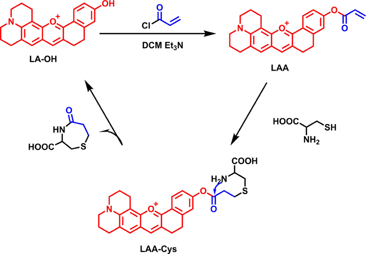 The proposed mechanism of LAA for the detection of Cys.