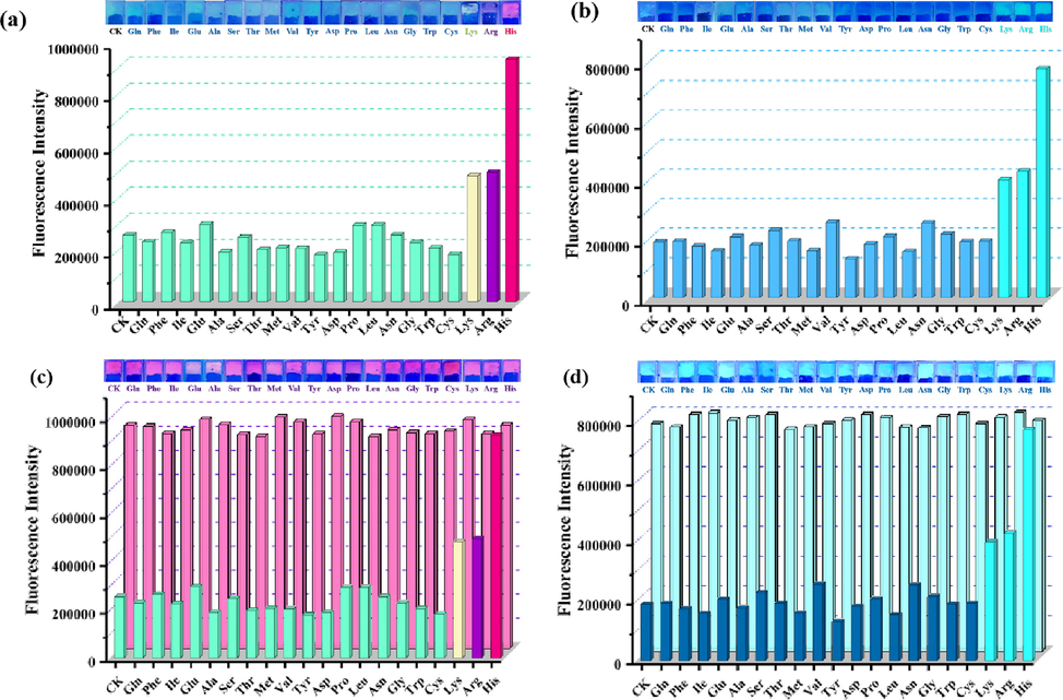 Photographs of various amino acids-loaded (a) GA-O-09/Eu3+ and (b) GA-O-09/La3+ hydrogels under 365 nm UV lamp irradiation and the corresponding fluorescence intensity of hydrogels upon excitation at 300 nm; Photographs of (c) GA-O-09/Eu3+ and (d) GA-O-09/La3+ hydrogels loading 1.0 equiv. His and 1.0 equiv. coexisting amino acids, respectively, under 365 nm UV lamp irradiation and the corresponding fluorescence intensity of hydrogels upon excitation at 300 nm.