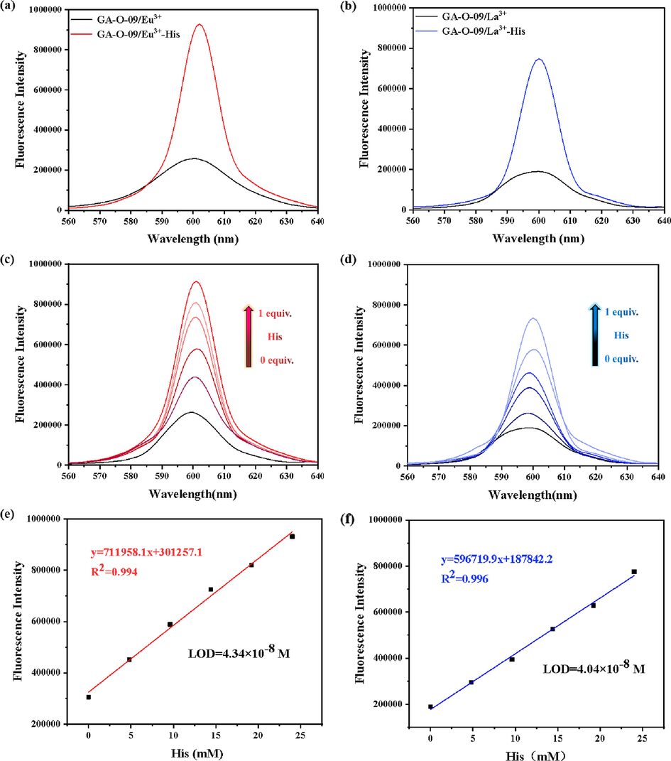 Comparison of fluorescence intensity between (a) GA-O-09/Eu3+ and (b) GA-O-09/La3+ hydrogels prepared with 1.0 equiv. of His or without His upon excitation at 300 nm, respectively. The fluorescence intensity of (c) GA-O-09/Eu3+ and (d) GA-O-09/La3+ hydrogels which were added with different equivalents of His upon excitation at 300 nm, respectively; the fluorescence titration linear range and the LODs of (e) GA-O-09/Eu3+ and (f) GA-O-09/La3+ hydrogels loading His.