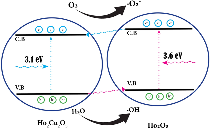 Photocatalytic degradation mechanism of Ho2Cu2O5/Ho2O3 nanocomposites.