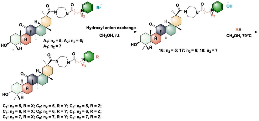 Synthesis of optimized compounds C1-C9.