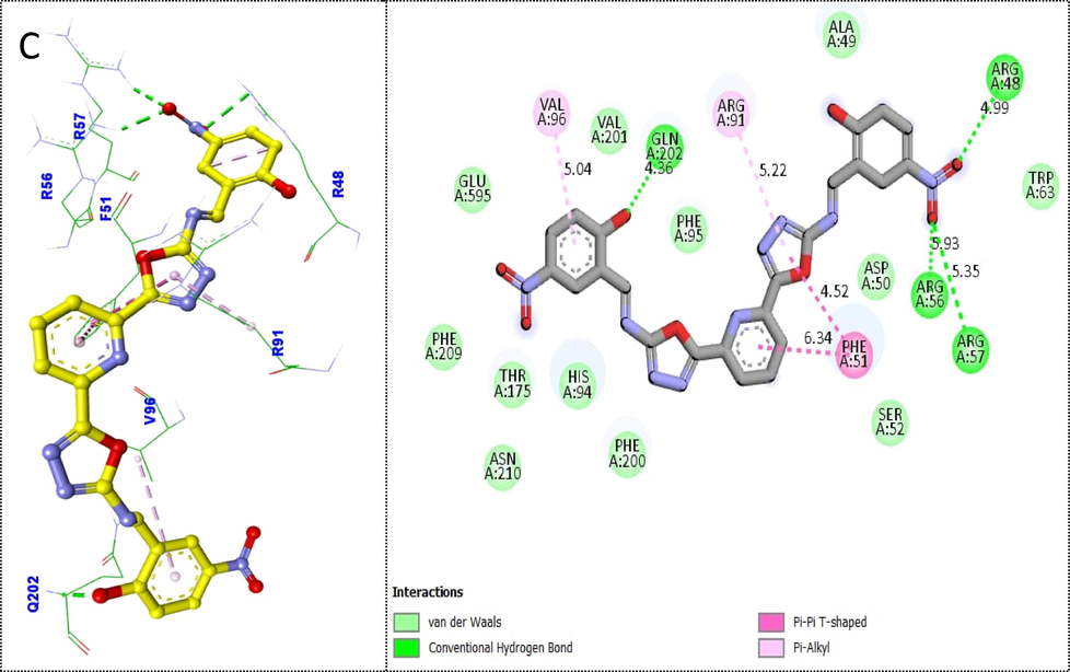 Protein-ligand interaction profile (PLI) of 3rd most active analog 4 k(C) against targeted thymidine phosphorylase and its 3D (left) and 2D (right) diagram.