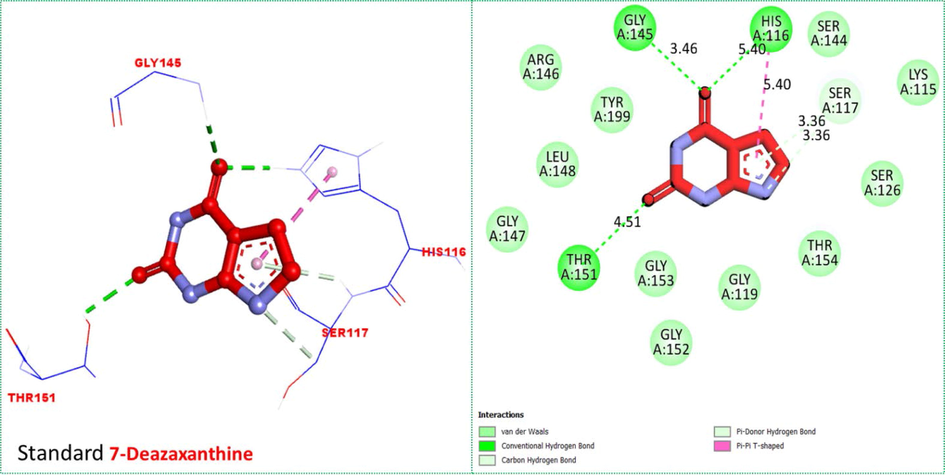 Protein-ligand interaction profile (PLI) of standard 7-Deazaxanthine against targeted thymidine phosphorylase and its 3D (left) and 2D (right) diagram.