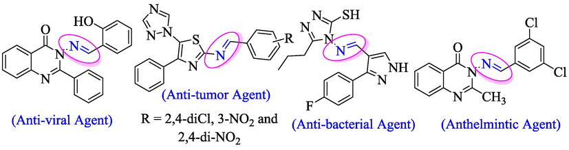 Biological profile of schiff base containing heterocyclic compounds.