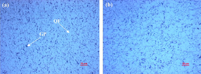 Microstructures of Q235 steel (a) and X65 steel (b).