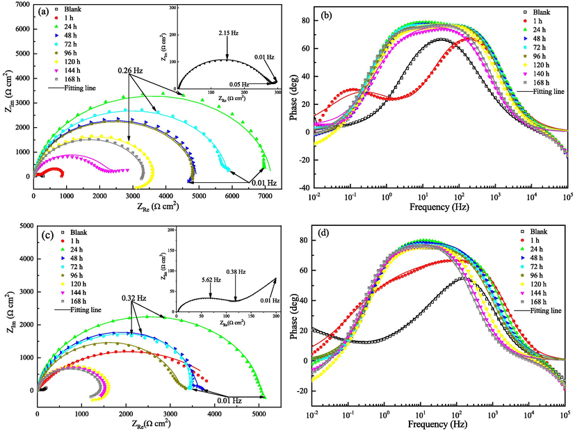 Nyquist and Bode plots for both steels in the test solutions with 1000 mg L-1 2-PI in different test periods: (a, b) Q235 steel and (c, d) X65 steel.