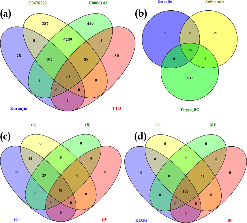 Venn diagram representation of (a) Targets involved in “Breast carcinoma” (C0678222) vs Targets involved in “malignant neoplasm of breast” (C0006142) vs targets retrieved for breast cancer via Therapeutic Target Database (TTD); (b) targets of karanjin vs targets involved in Breast cancer (C0678222 & C0006142) vs anti-targets; (c) With respect to targets modulated via karanjin after KEGG enrichment analysis (A) String recognized genes; (B) Genes identified to be involved in cancer pathways(via KEGG); (C) genes modulated by karanjin predicted to be involved in breast cancer(before KEGG enrichment); (D) Genes modulated by karanjin involved in the pathogenesis of breast cancer (after KEGG enrichment); (d) GO terms Cellular component (CC), molecular function(MF), and biological process(BP) vs KEGG mediated genes.
