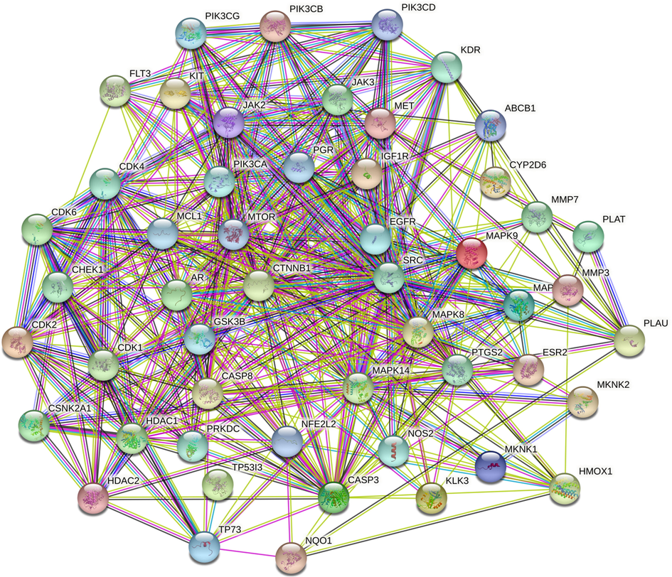 Figure 2: Protein-Protein interaction of targets modulated by Karanjin. Where, Node color; colored nodes: query proteins and first shell of interactors, white nodes: second shell of interactors, Node content; Empty nodes: Proteins of unknown 3D structure, Filled nodes: some 3D structure is known or predicted. Edges: known interactions; from curated databases, experimentally determined, Predicted interactions; gene neighbourhood, gene fusions, gene co-occurance & others; textmining, co-expression, protein homology.