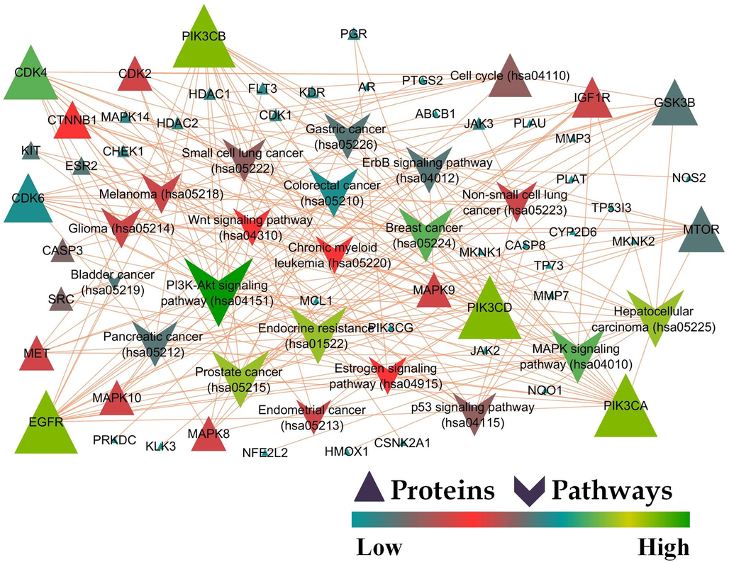 Protein-Pathway interaction of karanjin mediated KEGG pathway analysis against breast cancer.