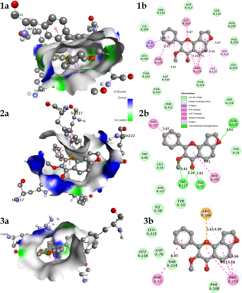 A) 3D and b) 2D interaction of Karanjin docked with protein 1. CYP1A1; 2. AKR1C3; & 3. CYP3A4.