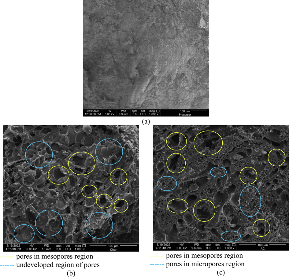 SEM images for (a) precursor, (b) char and (c) TWAC at magnification level of 1000×.