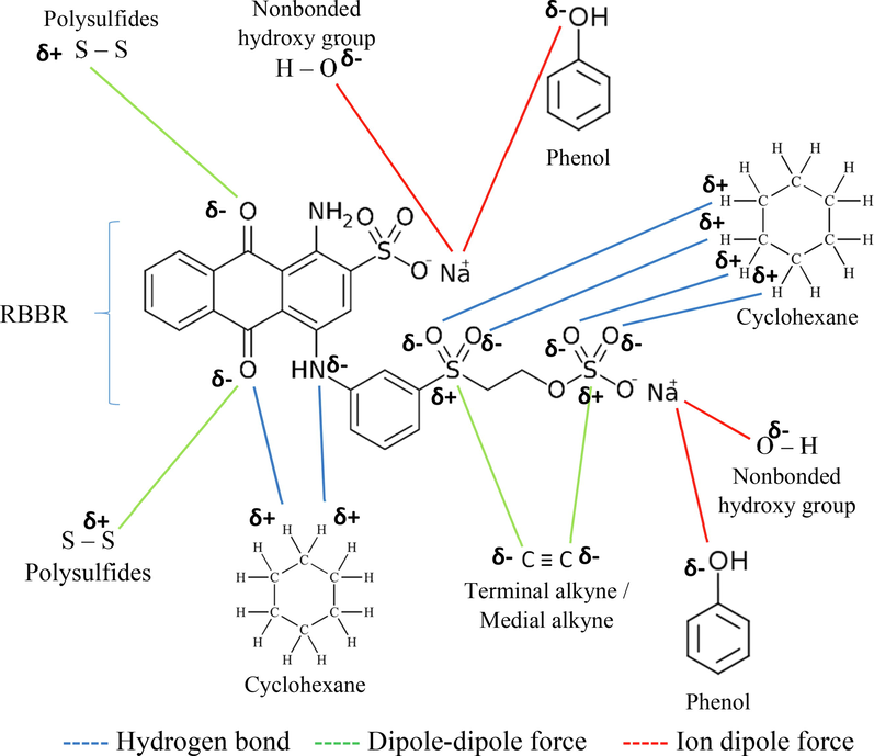 The possible attraction mechanism between RBBR dye and TWAC’s functional groups.