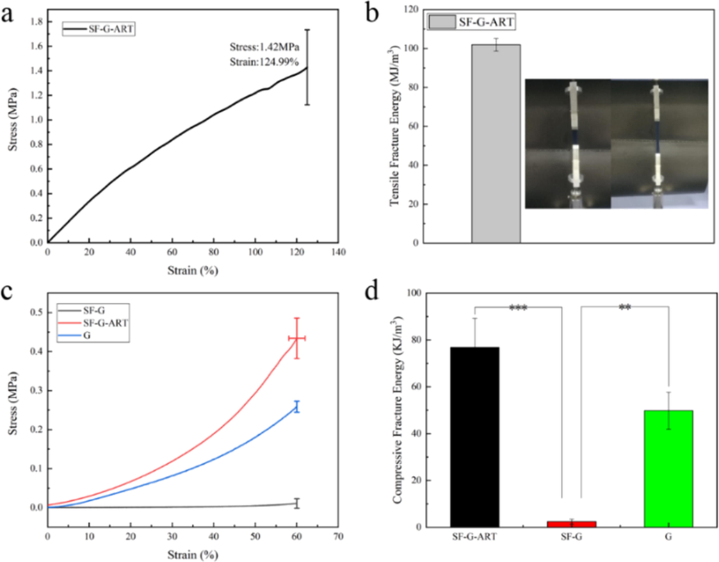 Mechanical properties of fabricated hydrogels. (a, b) Tensile stress–strain curve and tensile fracture energy of SF-G-ART. (c, d) Stress–strain curve of 60% deformation compression and fracture energy of G hydrogel, SF-G and SF-G-ART. Data are expressed as mean ± standard deviation of triplicate samples.