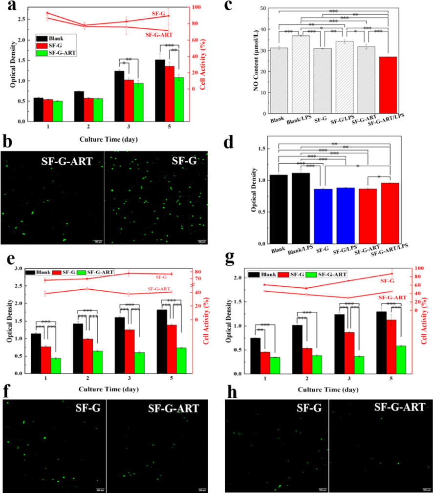 Biological effect of fabricated hydrogels. (a) Cytotoxicity of ART on normal cell L929 by MTS assay. (b) Life cell staining of L929 cells treated with SF-G and SF-G-ART by confocal microscope. (c) Inhibition of SF-G and SF-G-ART on NO production in LPS-stimulated RAW264.7 cells. (d) Cytotoxicity of SF-G and SF-G-ART on RAW264.7 cells by MTS assay. (e) Effects of SF-G and SF-G-ART on cell viability of HepG2 cancer cells for 5 days. (f) Life cell staining of HepG2 cells treated with SF-G and SF-G-ART by confocal microscope. (g) Effects of SF-G on cell viability of SMMC7721 cancer cells for 5 days. (h) Life cell staining of SMMMC7721 cells treated with SF-G and SF-G-ART by confocal microscope. Data are expressed as mean ± standard deviation of triplicate samples.