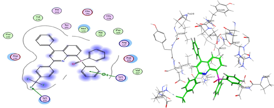 3D docking and 2D of compound C11 and 2NS2 protein cancer of ovarian cancer protein.