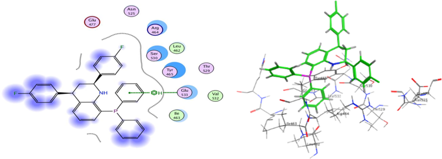 3D docking and 2D of compound C19 and 5 K47 protein cancer of kidney cancer protein.