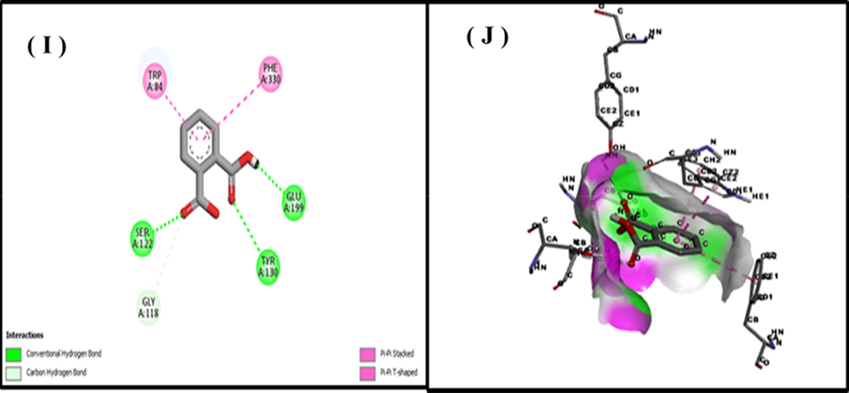 Docking of 9,12,15- Octadecatrienoic 2d (I), 3d (J) with tyrosinase.