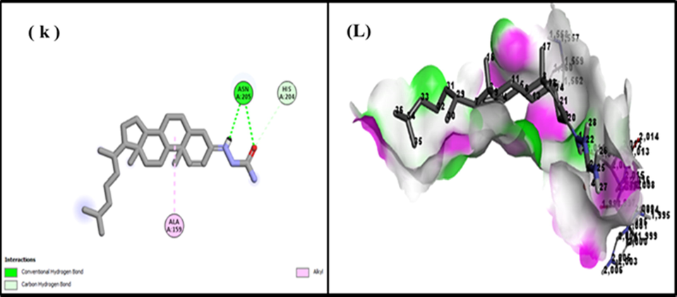 Docking of 7,9-ditert-butyl-1-oxaspiro [4.5] deca-6,9-diene-2,8-dione 2d, 3d 2d (K), 3d (L) with tyrosinase.