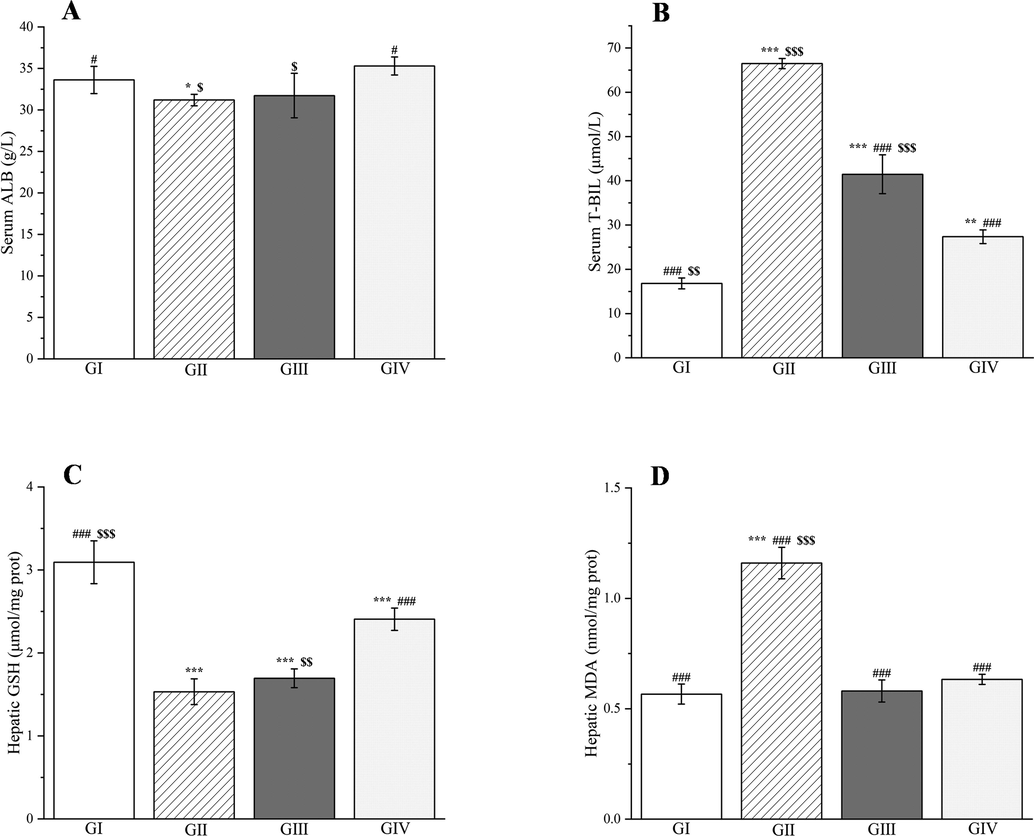 Effects of Plagiorhegma dubia on serum albumin (A), total bilirubin (B) and hepatic glutathione (C), malondialdehyde (D) in rats with liver injury. GI: Control group, GII: D-GalN group, GIII: D-GalN + PD300 group, GIV: D-GalN + SMN group. PD: Plagiorhegma dubia; D-GalN: D-Galactosamine; SMN: Silymarin; ALB: Albumin; T-BIL: Total bilirubin; GSH: Glutathione; MDA: Malondialdehyde. Significantly different from the control group at * p < 0.05, ** p < 0.01 and *** p < 0.001. Significantly different from the D-GalN group at # p < 0.05 and ### p < 0.001. Significantly different from the D-GalN + SMN group at $ p < 0.05, $$ p < 0.01 and $$$ p < 0.001. Values are expressed as the mean ± standard error of the mean (n = 8).