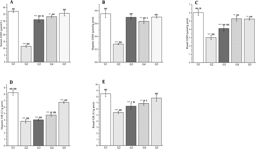 The outcomes of treatment with a Plagiorhegma dubia methanol extract on serum, hepatic, and renal glutathione and glutathione reductase levels in rats with induced diabetes. G1: Control group, G2: DM group, G3: DM + PD150 group, G4: DM + PD300 group, G5: DM + GLB group. PD: Plagiorhegma dubia; DM: Diabetes mellitus; GLB: Glibenclamide; GSH: Glutathione; GR: Glutathione reductase. Significantly different from the control group at ** p < 0.01 and *** p < 0.001. Significantly different from the DM group at # p < 0.05, ## p < 0.01, and ### p < 0.001. Significantly different from the DM + GLB group at $ p < 0.05, $$ p < 0.01 and $$$ p < 0.001. Values are expressed as the mean ± standard error of the mean (n = 8).