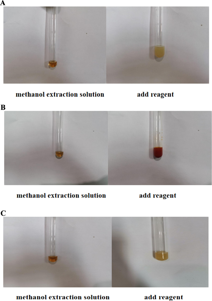 Photographs of the steps in the tests for alkaloids.