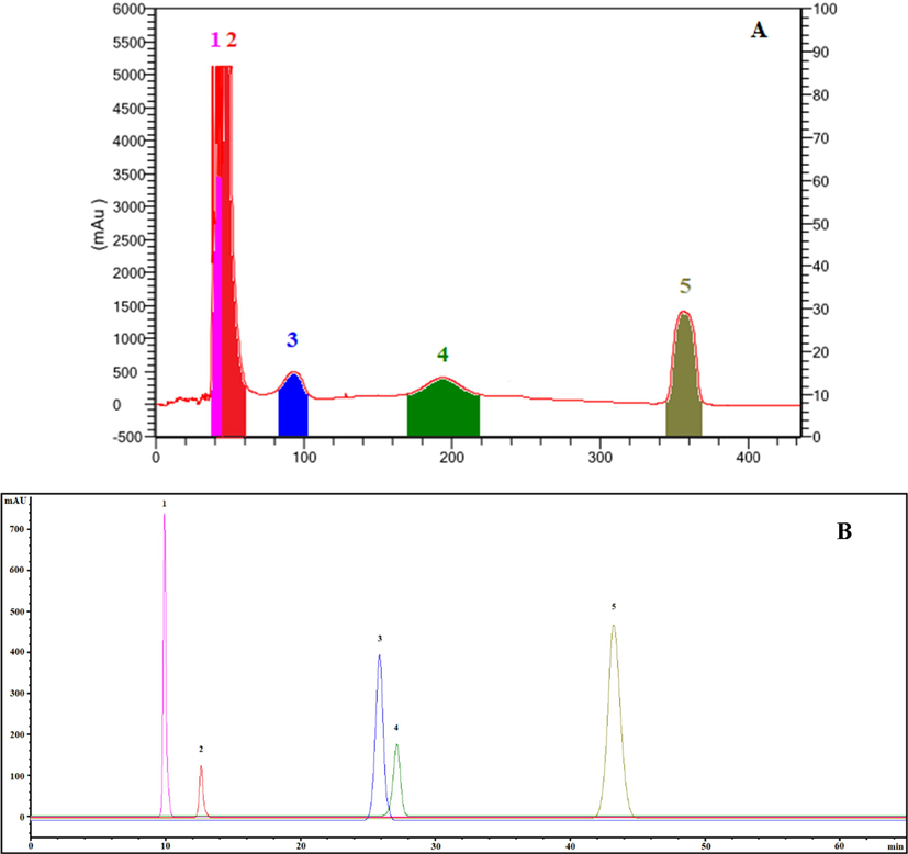 HSCCC chromatogram of five target compounds isolated from HMLF (A) and HPLC chromatogram of five HSCCC fractions (B). 1, CHA; 2, CAA; 3, QOR; 4, RU; 5, HI. For HSCCC, solvent system: EtOAc-MeOH-H2O (100:3:100, v/v/v); rotation speed: 900 rpm; flow rate: 2 mL/min; detection wavelength: 254 nm; stationary phase: upper phase; retention percentage of the stationary phase: 71.7%.