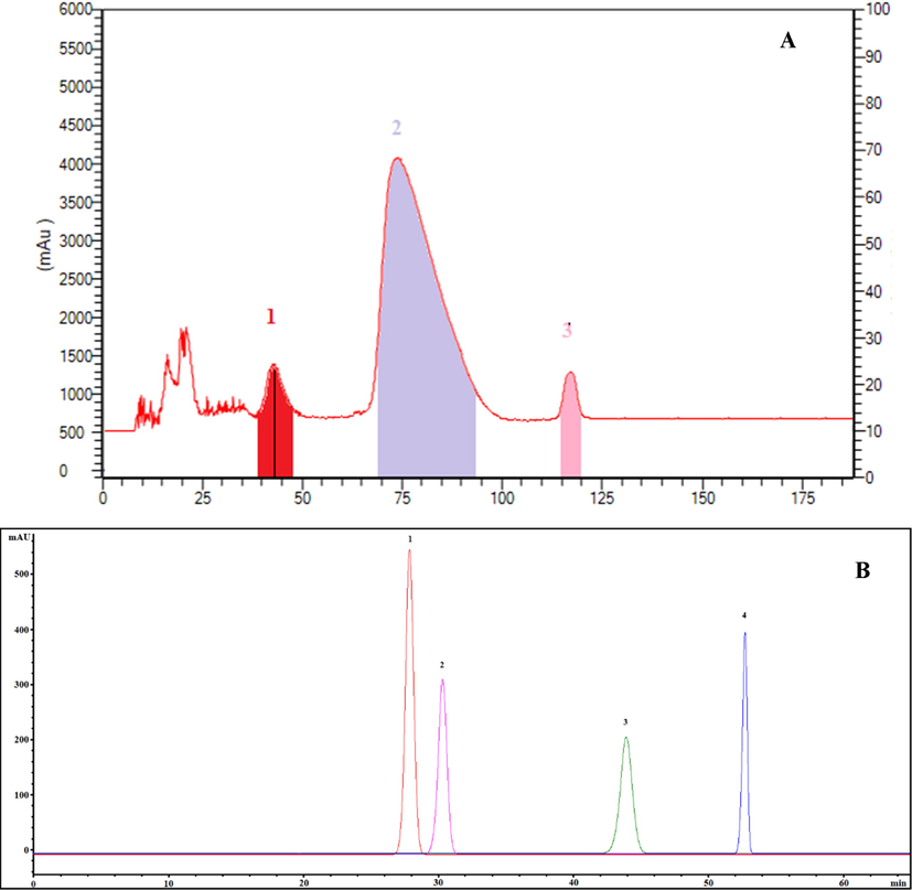 HSCCC chromatogram of four target compounds isolated from HMLF (A) and HPLC chromatogram of four HSCCC fractions (B). 1, HY; 2, ISQ; 3, HI; 4, QOG. For HSCCC, solvent system: Hex-EtOAc-MeOH-H2O (1:5:1:5, v/v/v/v); rotation speed: 850 rpm; flow rate: 2 mL/min; detection wavelength: 254 nm; stationary phase: upper phase; retention percentage of the stationary phase: 66.7%.