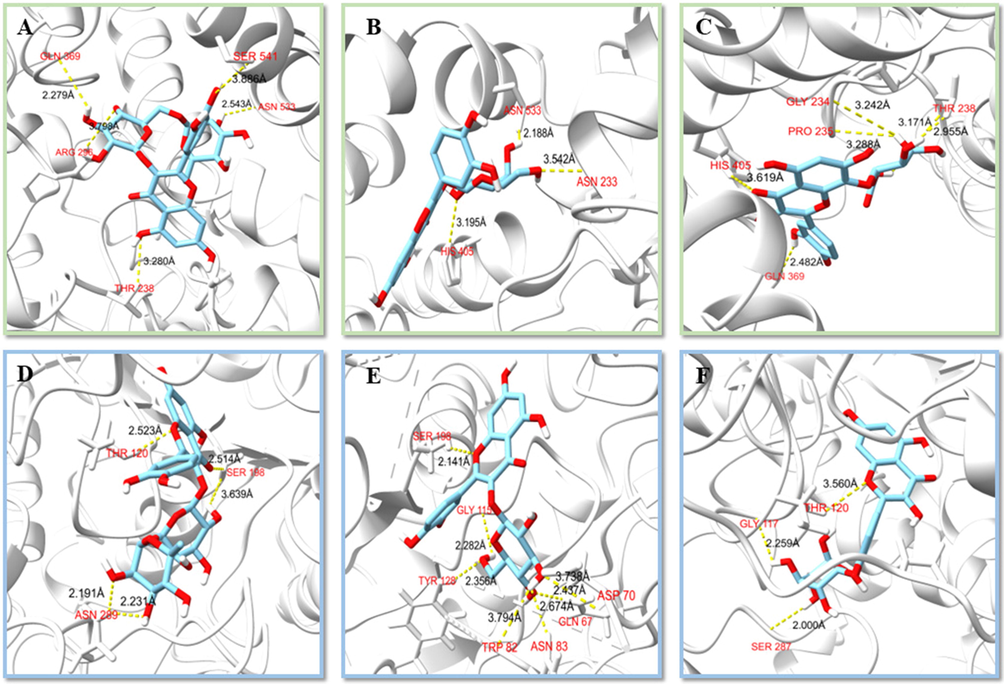 Molecular interactions of isolated compounds against AChE (A-C) and BuChE (D-F). A, RU-AChE; B, HY-AChE; C, HI-AChE; D, QOR-BuChE; E, ISQ-BuChE; F, QOG-BuChE.