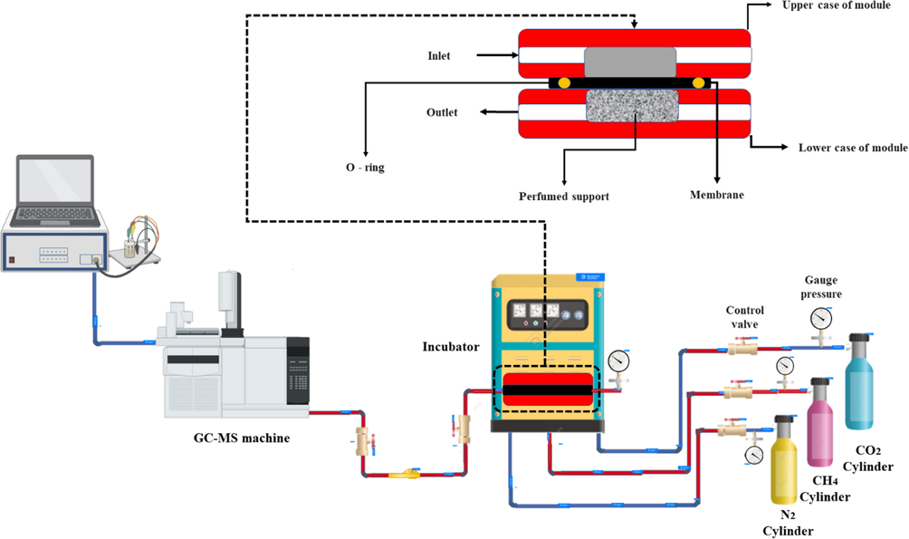 A visual description of the laboratory set-up for measuring gas permeability. This image provides additional details about the membrane holder.