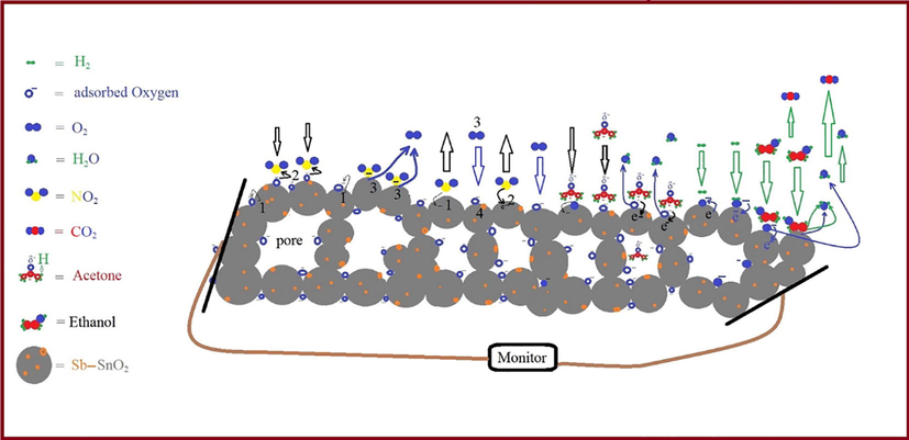 Schematic illustration of gas sensing mechanisms.