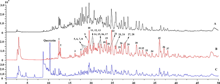 Total ion chromatograms of 70% ethanol fraction of Cyclocarya paliurus leaves (A), screened active compounds by CFP-immobilized α-glucosidase (B), active components and quercetin (as positive control) fished out by CFP-immobilized α-glucosidase (C).