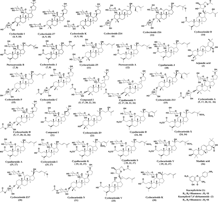 Chemical structures of screened potential α-glucosidase inhibitors from Cyclocarya paliurus leaves.