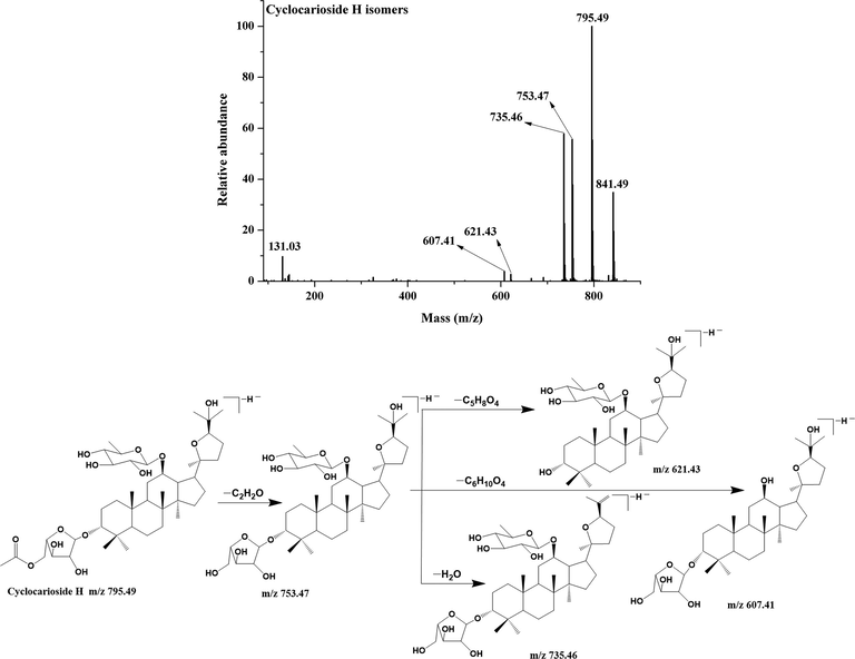 MS/MS spectrum and fragmentation pattern of cyclocarioside H of C. paliurus leaves in negative ion mode.