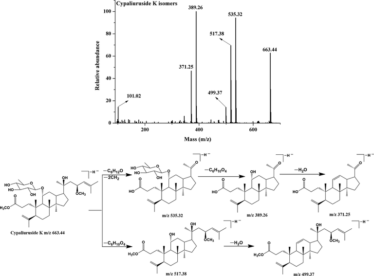 MS/MS spectrum and fragmentation pattern of cypaliuruside K of C. paliurus leaves in negative ion mode.