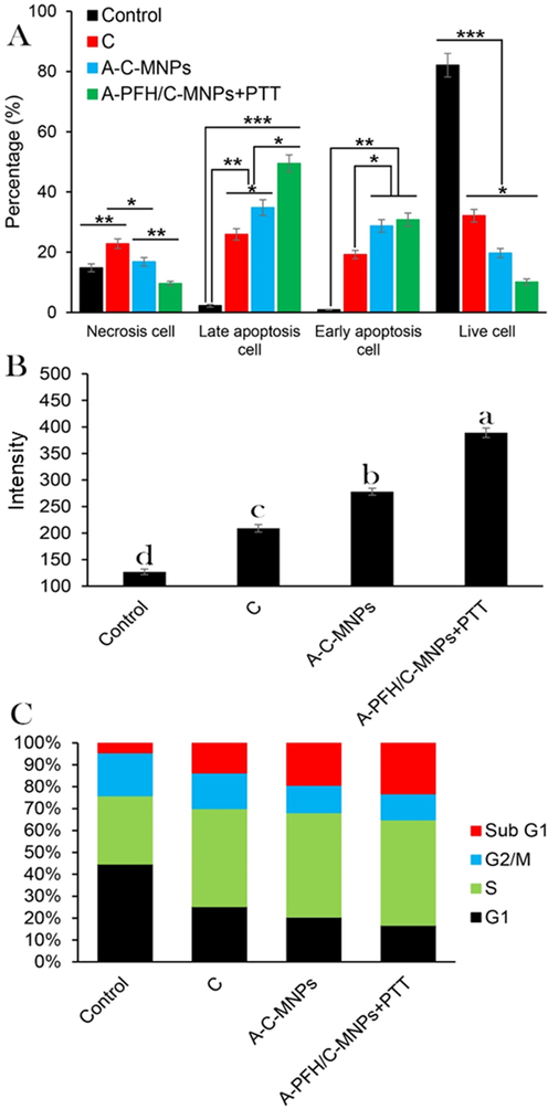 (A) Quantification of cell necrosis and apoptosis measured using propidium iodide (PI) and Annexin V-FITC staining in AGS cancerous cells determined by flow cytometry assay. Control, cisplatin (C), albumin-cisplatin-magnetite nanoparticle (A-C-MNPs), and albumin-perfluorohexane/cisplatin-MNPs plus PTT (A-PFH/C-MNPs + PTT), (B) the effects of C, A-C-MNPs and A-PFH/C-MNPs + PTT on the ROS production, and (C) flow cytometry-based assay of the cell cycle: control, cisplatin, A-C-MNPs and A-PFH/C-MNPs + PTT. *P < 0.05, **P < 0.01 and ***P < 0.001 for a difference of treatment groups. a,b,c,dLeast square means with different letters in superscripts are different at *P < 0.05.