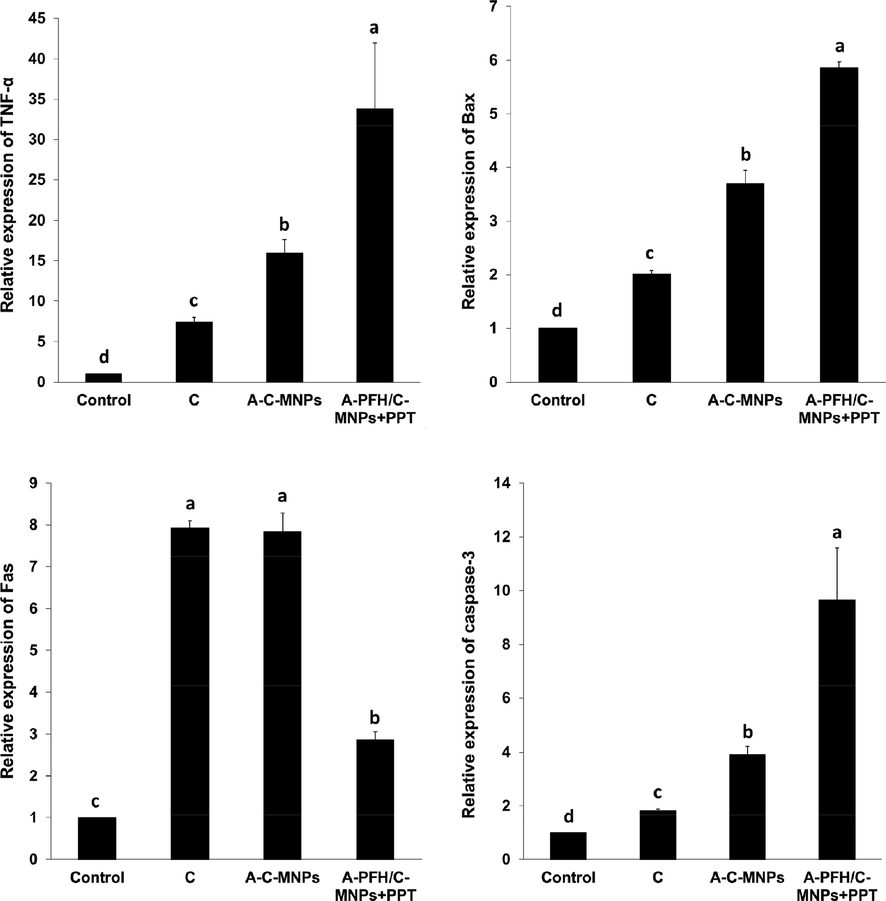 Effect of the control, cisplatin, albumin-cisplatin-magnetite nanoparticle (A-C-MNPs), and albumin-perfluorohexane/cisplatin-MNPs plus PTT (A-PFH/C-MNPs + PTT) on the expression of TNF-α, Bax, Fas and Caspase-3 mRNA, in the AGS cancerous cells. a,b,c,dLeast square means with different letters in superscripts are different at *P < 0.05.