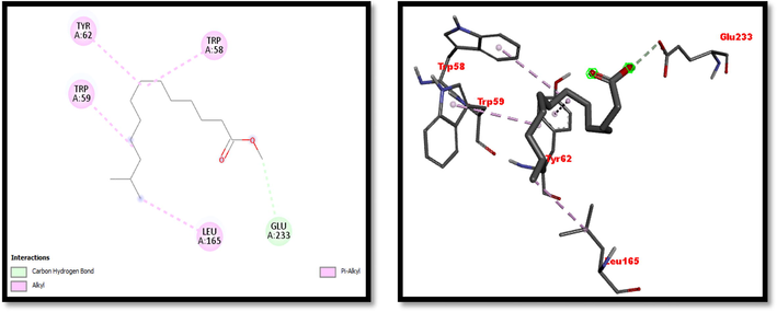 2D and 3D representation of Tridecanoic Acid, 12-Methyl-, Methyl Ester interaction with with α-amylase.