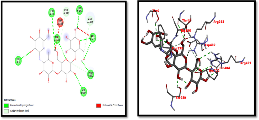 2D and 3D representation of Acarbose (Standard used for α-amylase inhibition activity).