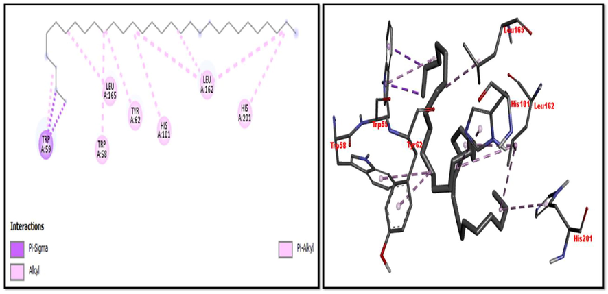 2D and 3D representation of Hentriacontane interaction with α-amylase.