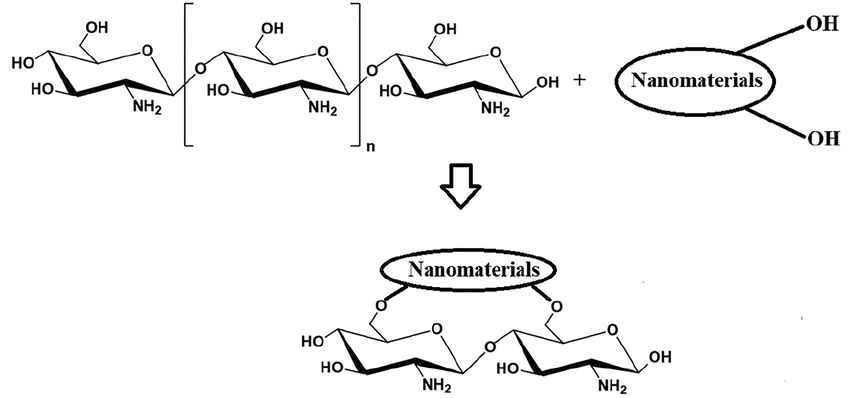 Synthesis of chitosan nanocomposite.