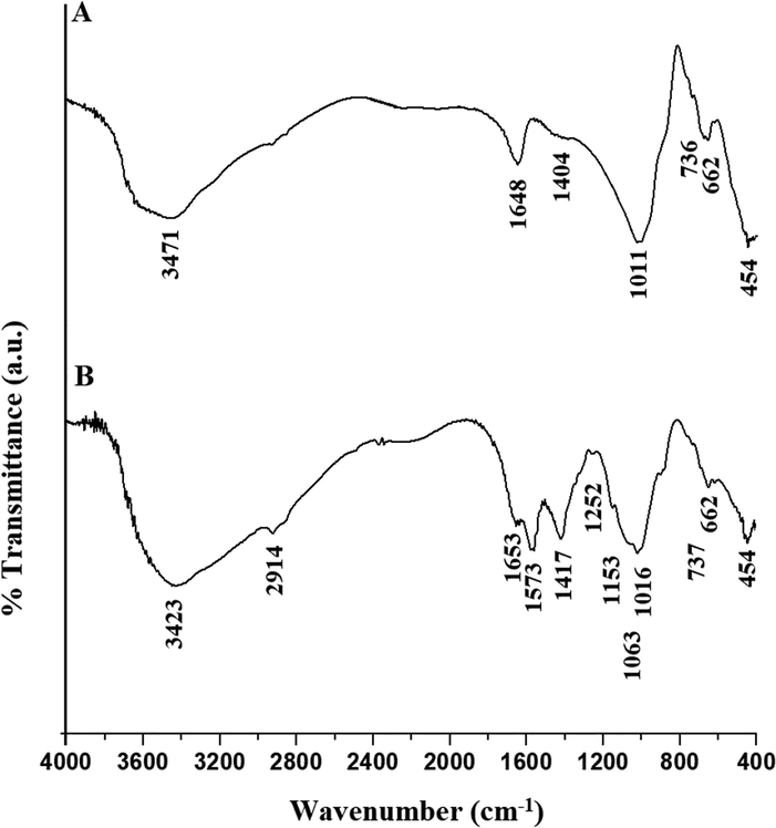 The FT-IR spectra of the H1 (A) and H1Ch (B) samples.