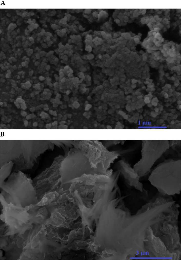 The FE-SEM images of the H1 and H1Ch samples, respectively.